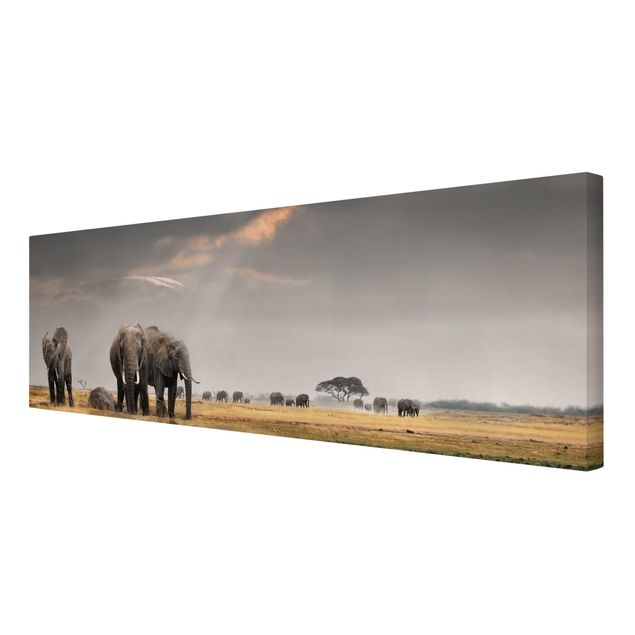 Quadri moderni per soggiorno Elefanti nella savana