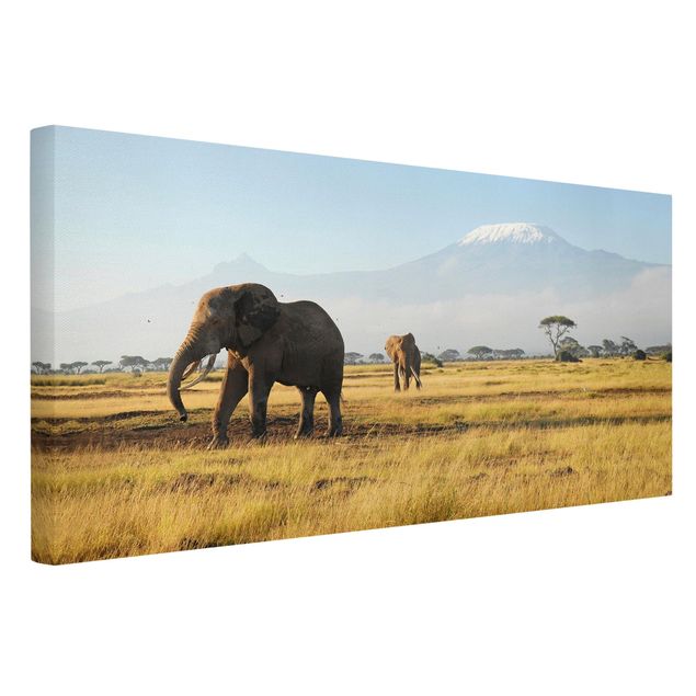 Stampe su tela paesaggio Elefanti di fronte al Kilimangiaro in Kenya