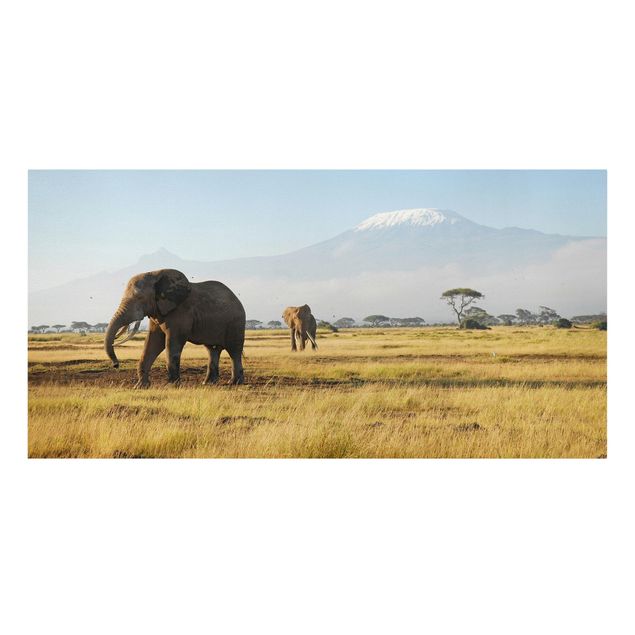 Stampe su tela animali Elefanti di fronte al Kilimangiaro in Kenya