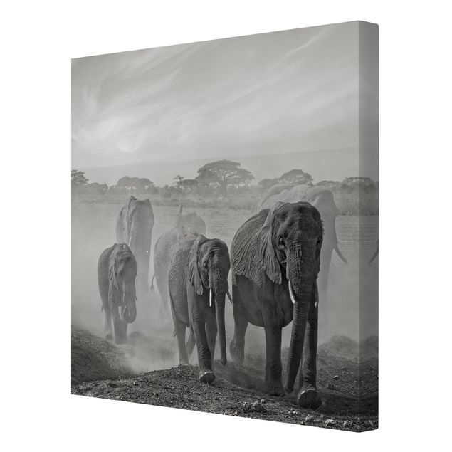 Quadri su tela animali Branco di elefanti