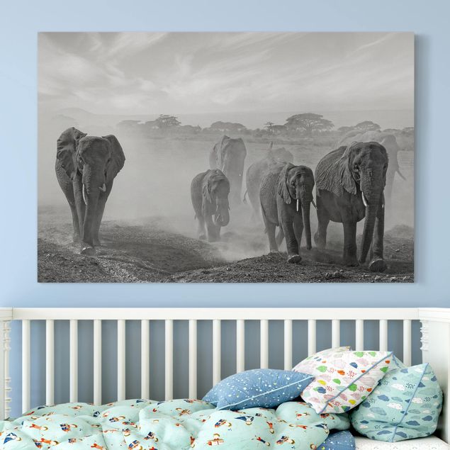 Quadri con elefanti Branco di elefanti