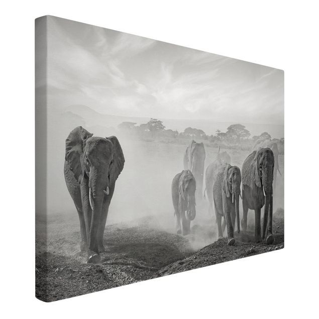 Tele con paesaggi Branco di elefanti