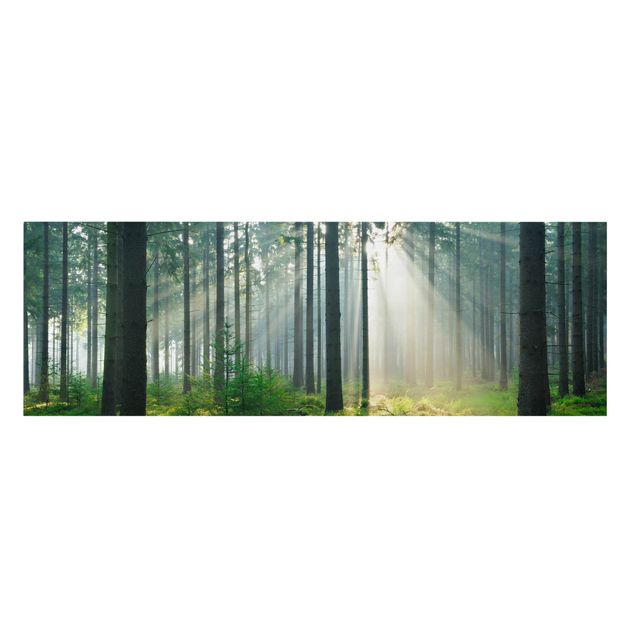 Stampa su tela - Enlightened Forest - Panoramico