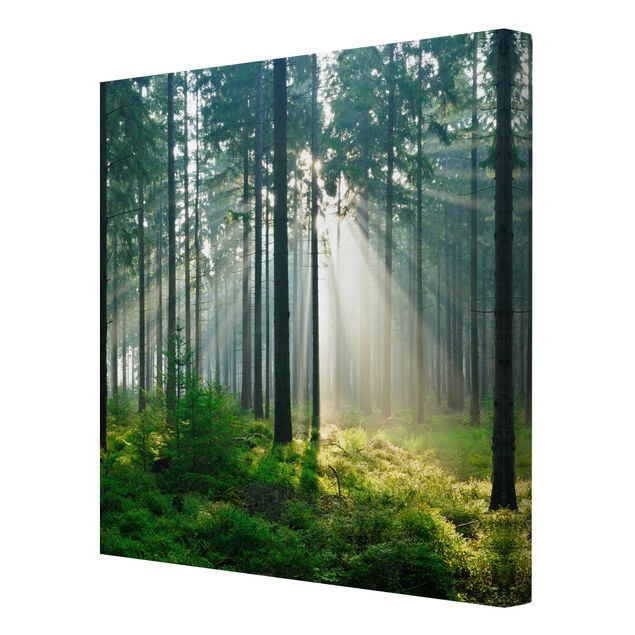 Stampa su tela - Enlightened Forest - Quadrato 1:1