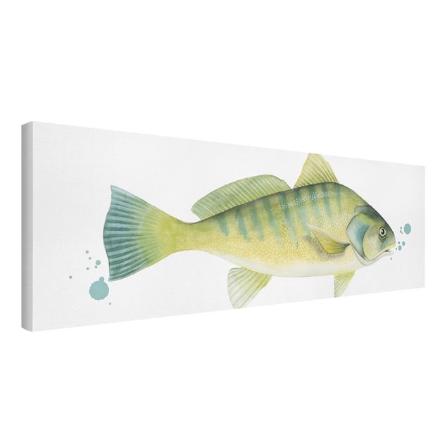 Quadri su tela Colore Cattura - Pesce persico