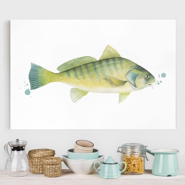stampe animali Colore Cattura - Pesce persico
