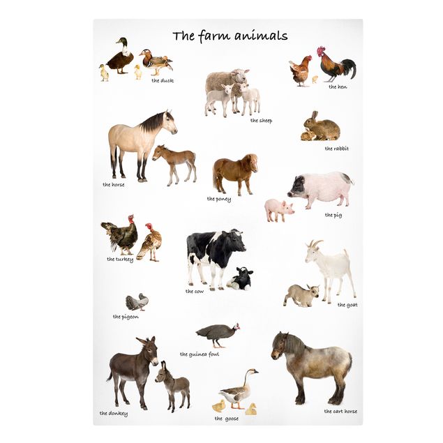 Stampa su tela Farm Animals - Verticale 2:3