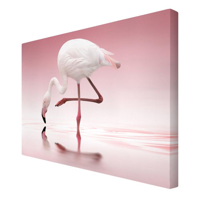 Stampa su tela - Flamingo Dance - Orizzontale 3:2
