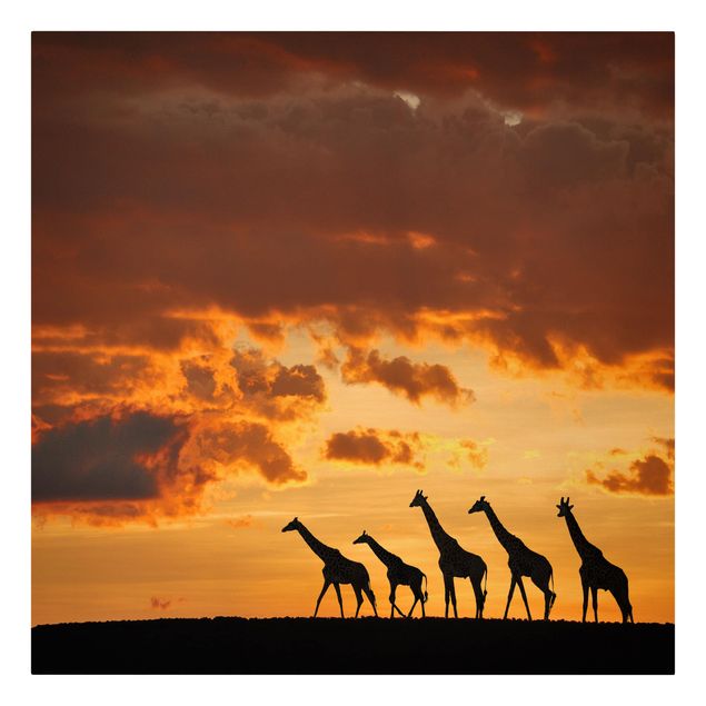 Quadri moderni per soggiorno Cinque giraffe