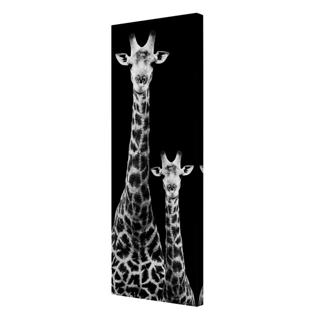Riproduzione quadri su tela Duo di giraffe in bianco e nero