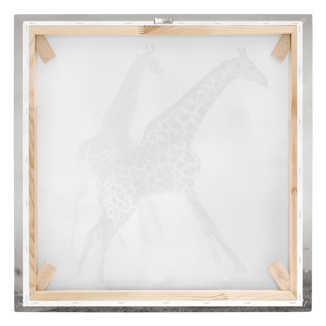 Stampa su tela - Giraffe Hunting - Quadrato 1:1