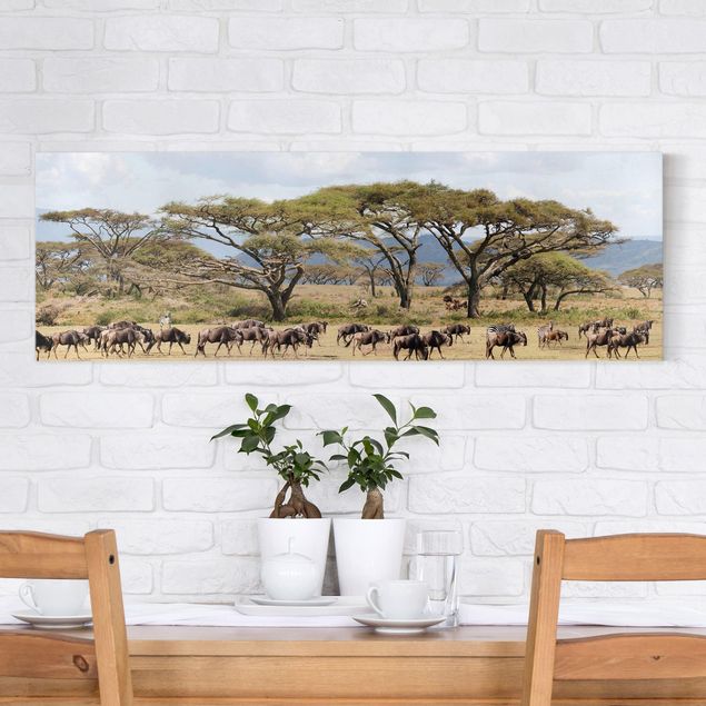 quadri con animali Mandria di gnu nella savana