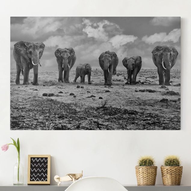 Quadri con elefanti Famiglia numerosa