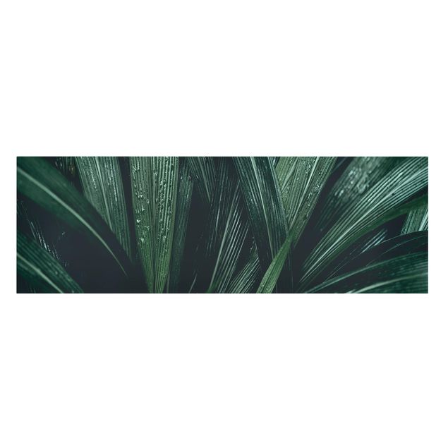 Stampa su tela - Green Palm Leaves - Panoramico