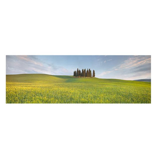 Stampa su tela - Green Field In Tuscany - Panoramico