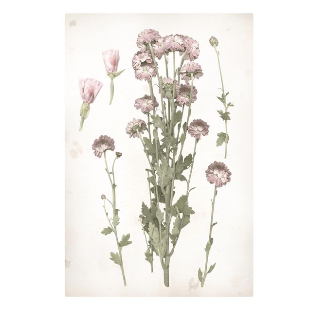 Stampa su tela - Herbarium In Pink I - Verticale 2:3