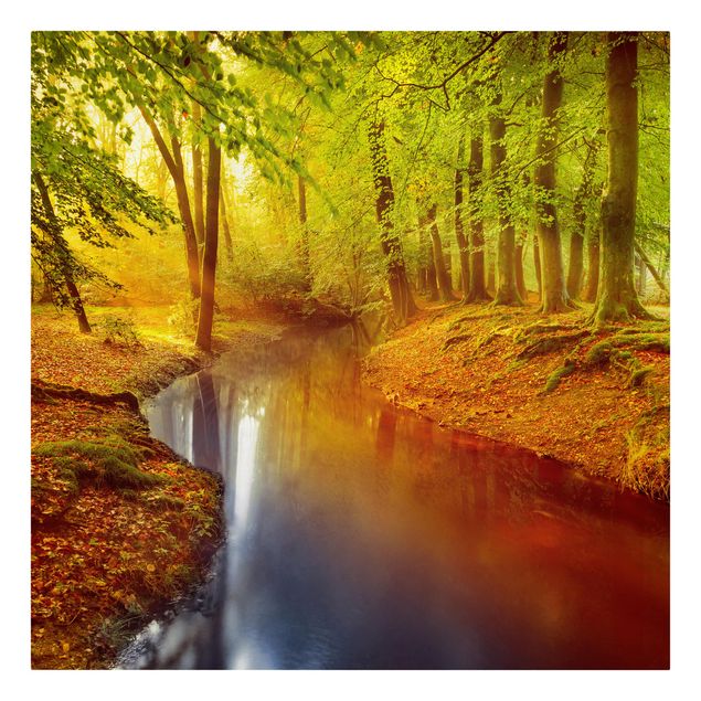 Stampa su tela - Autumn Forest - Quadrato 1:1