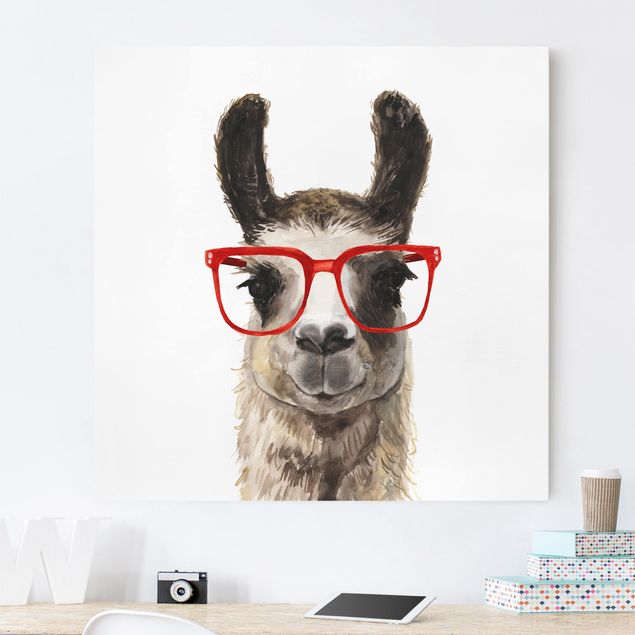 stampe animali Hip Lama con occhiali II
