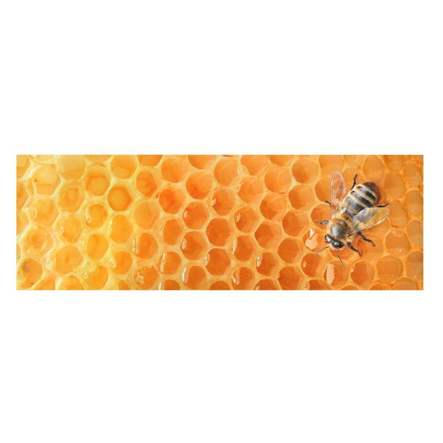 Stampa su tela - Honey Bee - Panoramico