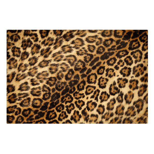 Stampe su tela Pelle di giaguaro