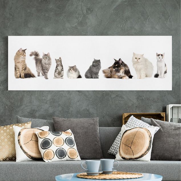 quadri con animali Gang di gatti