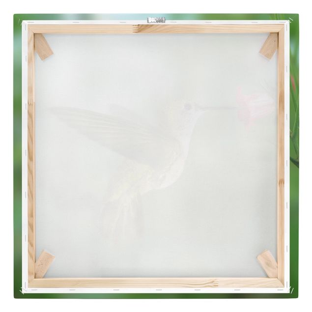 Stampa su tela - Hummingbird And Flower - Quadrato 1:1