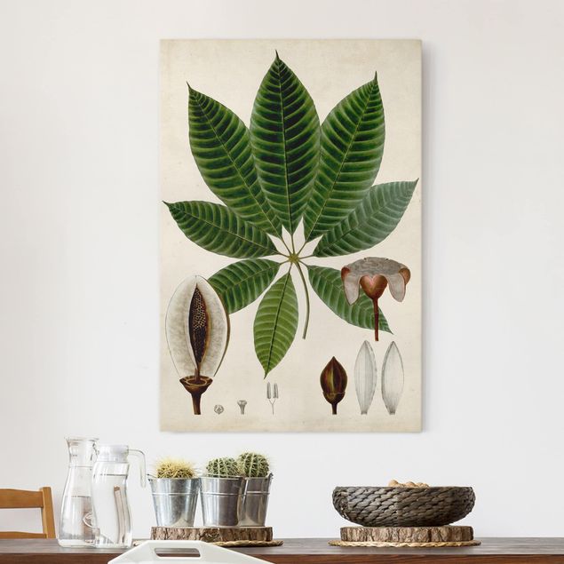 Quadro su tela fiori Poster con piante caducifoglie VII