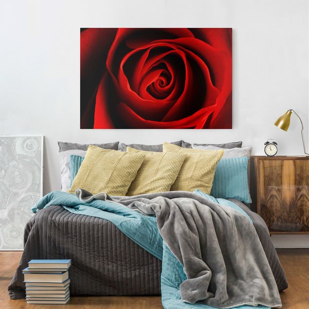 Quadri moderni per soggiorno Una bella rosa