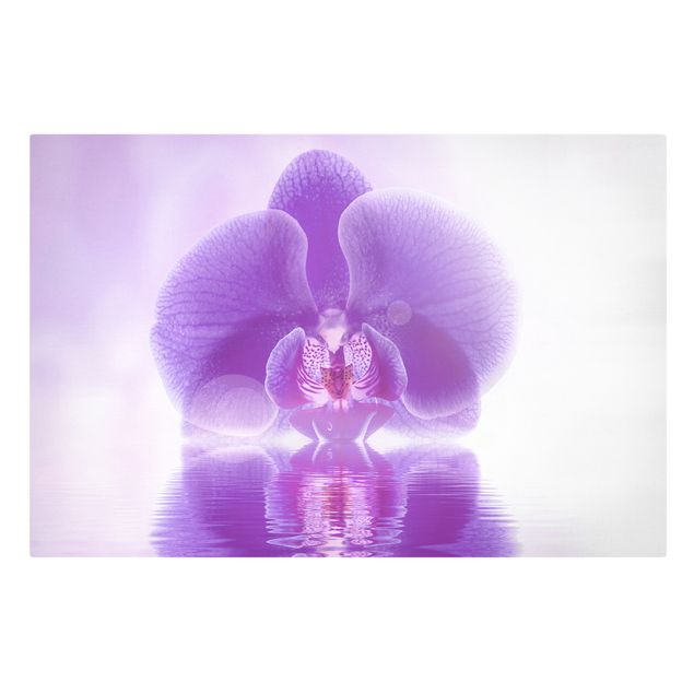 Stampa su tela - Purple orchid on water - Orizzontale 3:2