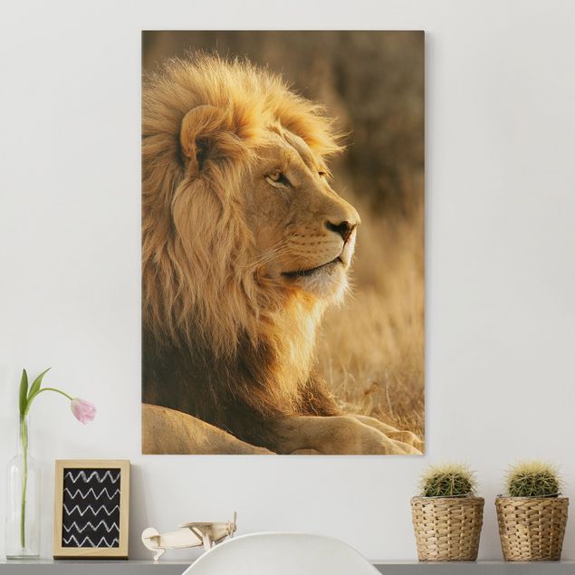 quadri con animali Lion King