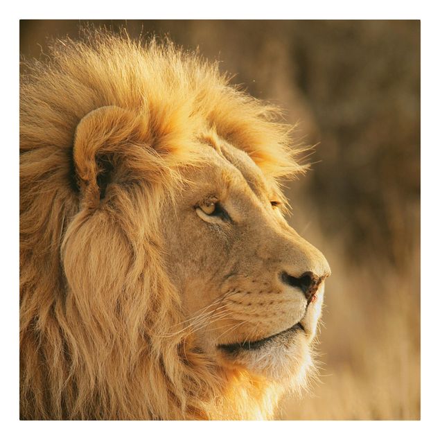 Stampa su tela Lion King