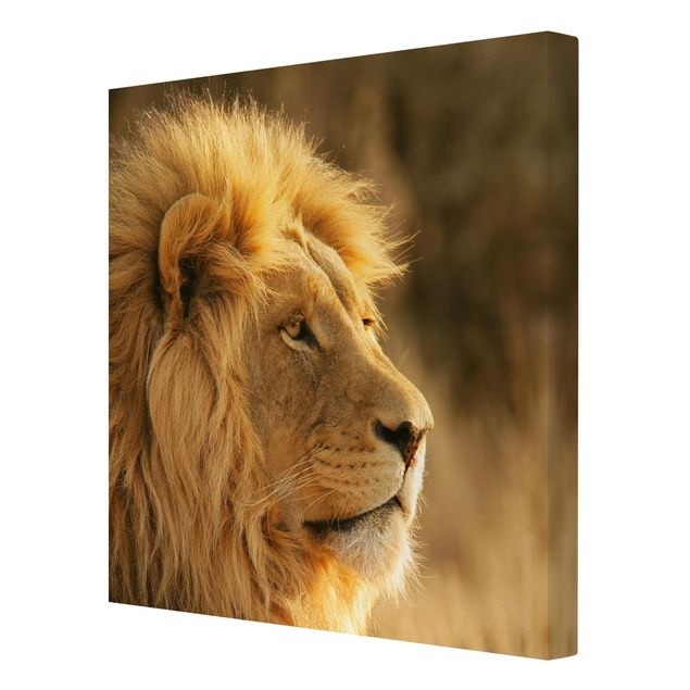 Stampa su tela - Lion King - Quadrato 1:1