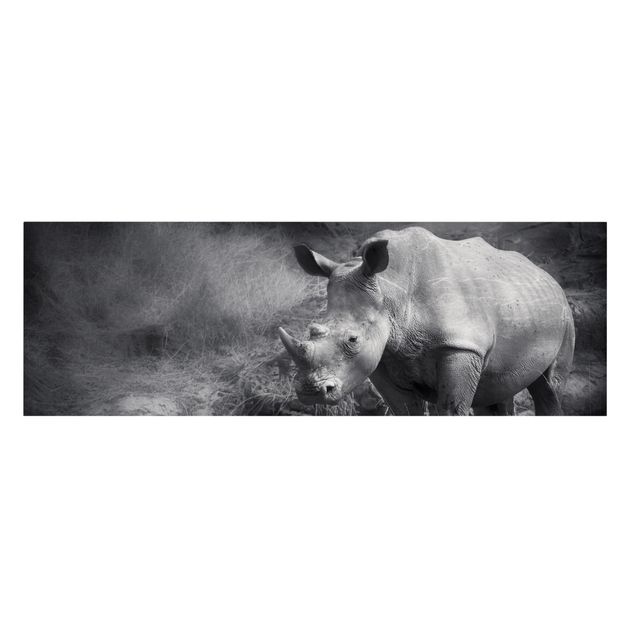 Stampe su tela Rinoceronte solitario