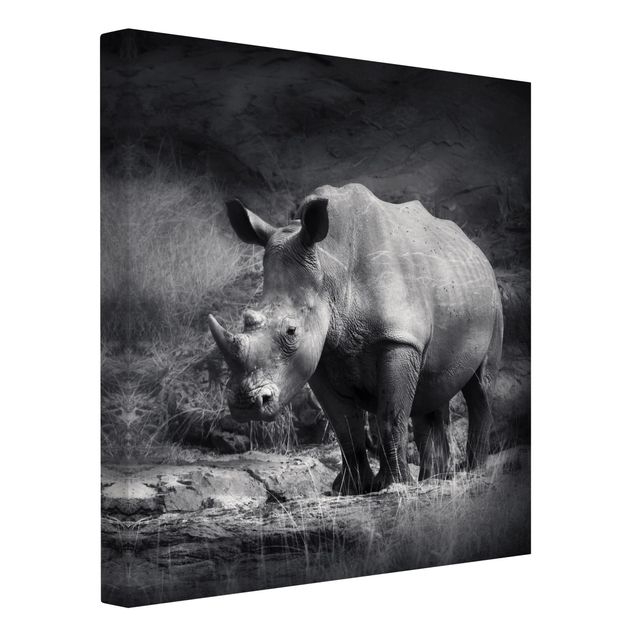 Quadri moderni per soggiorno Rinoceronte solitario