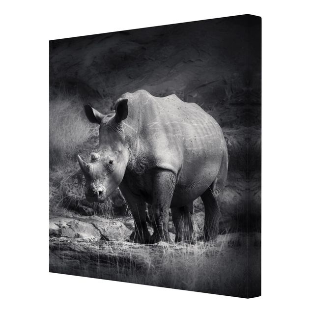 Stampa su tela - Lonesome Rhinoceros - Quadrato 1:1