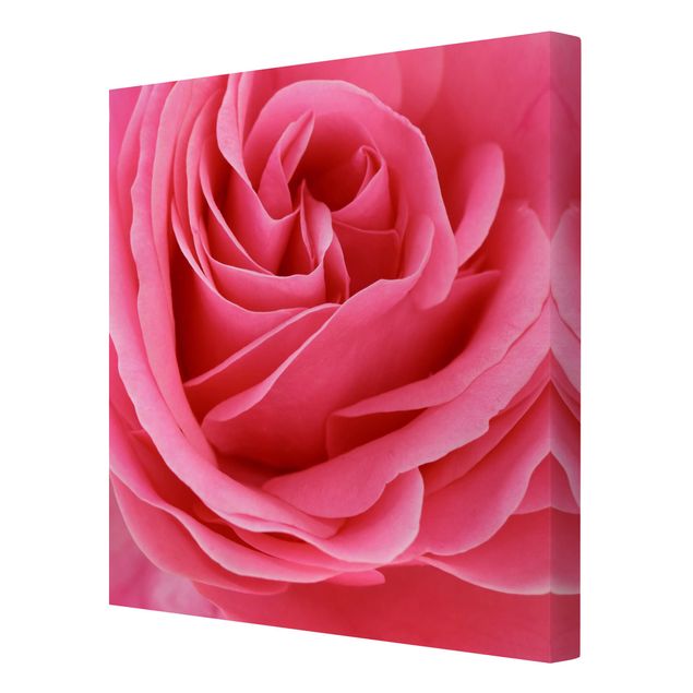 Stampa su tela - Lustful Pink Rose - Quadrato 1:1