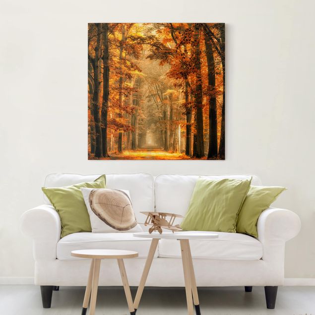 Quadri su tela paesaggio Foresta incantata in autunno