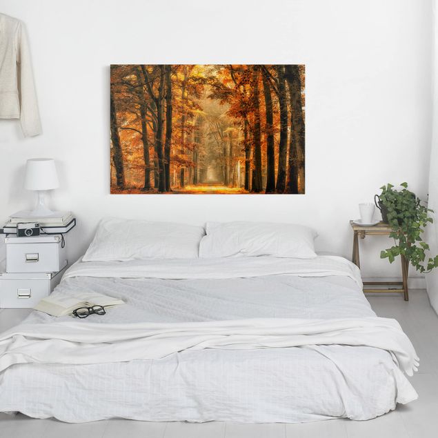 Quadri moderni per soggiorno Foresta incantata in autunno