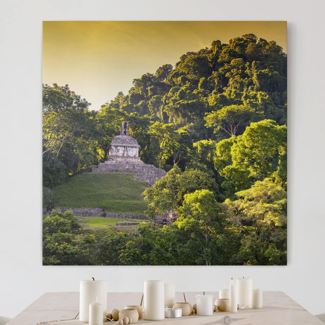 Quadri foresta Rovine Maya