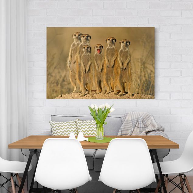Quadri moderni per soggiorno Famiglia di suricati