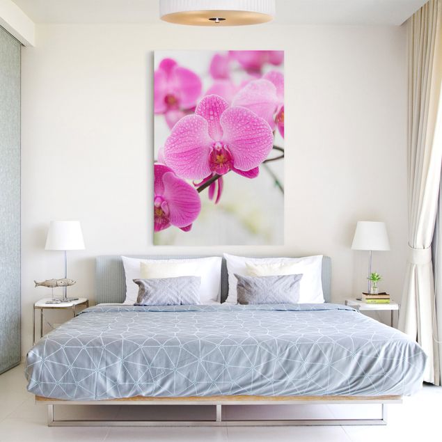 Quadri moderni per soggiorno Orchidea ravvicinata