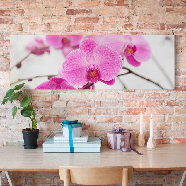 Stampe su tela fiori Orchidea ravvicinata
