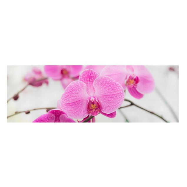 Stampa su tela - Close Orchid - Panoramico
