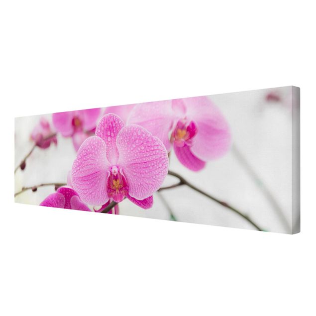 Stampa su tela - Close Orchid - Panoramico