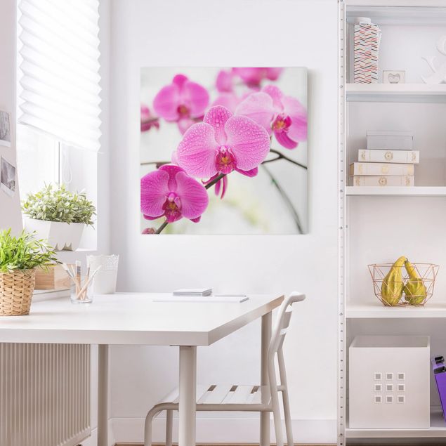 Stampe su tela fiori Orchidea ravvicinata