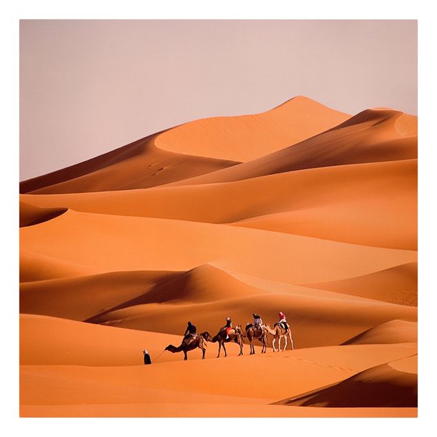 Stampe su tela Deserto del Namib