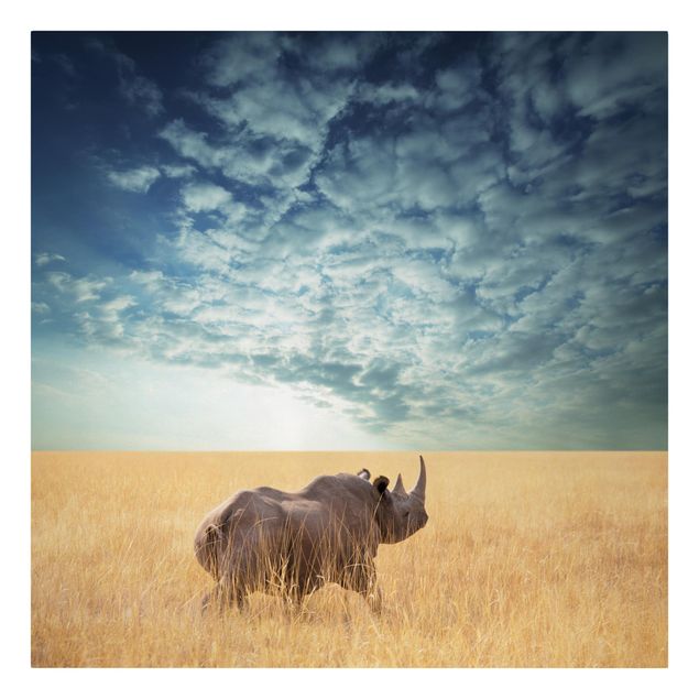 Quadri moderni per soggiorno Rinoceronte nella savana