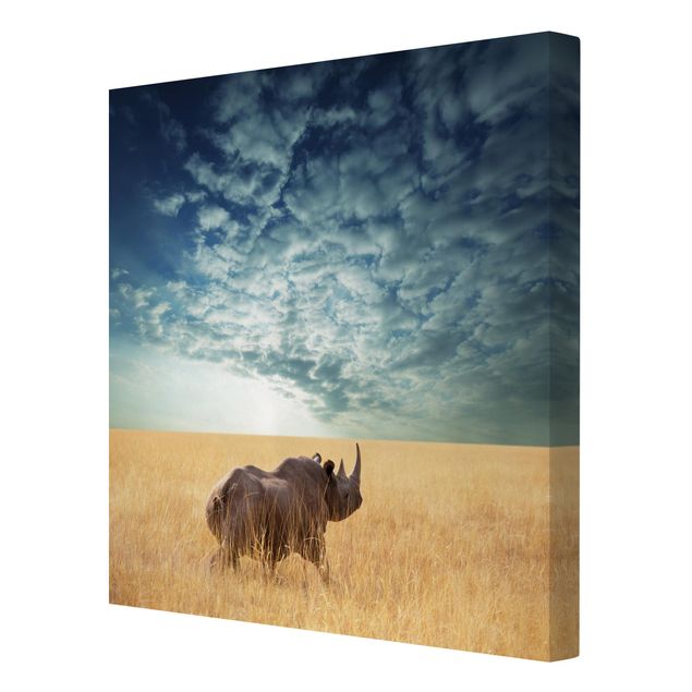 Stampa su tela Rinoceronte nella savana