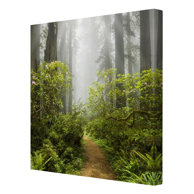 Stampa su tela - Misty Forest Path - Quadrato 1:1