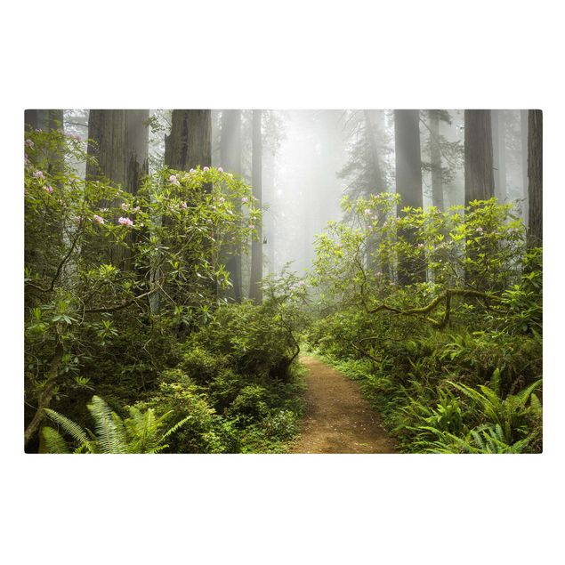 Stampa su tela - Misty forest path - Orizzontale 3:2